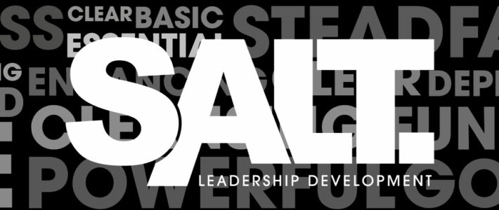 Huisstijl SALT Leadership Development